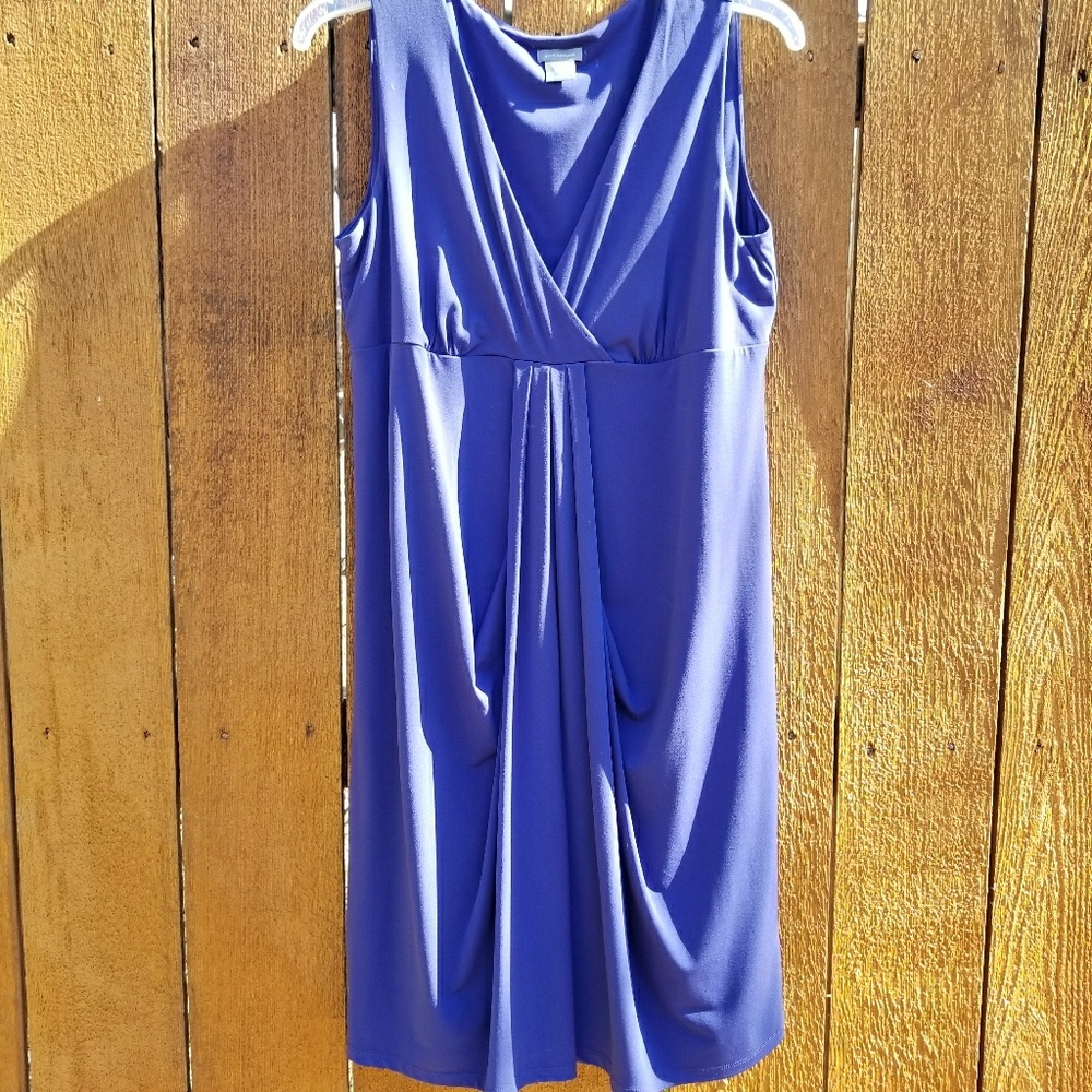 Ann Taylor Dress.